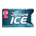 Dentyne Ice Gum Winter Chill 16pc