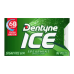 Dentyne Ice Gum Spearmint 16pc