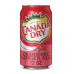 Canada Dry Cranberry Ginger Ale - 12fl.oz (355ml)