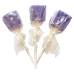 Espeez - Grape Cube Lollipop SINGLE 0.74oz (21g)