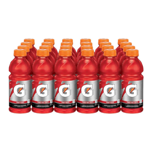 Gatorade Fruit Punch - 591ml x 24 CASE [Canadian]